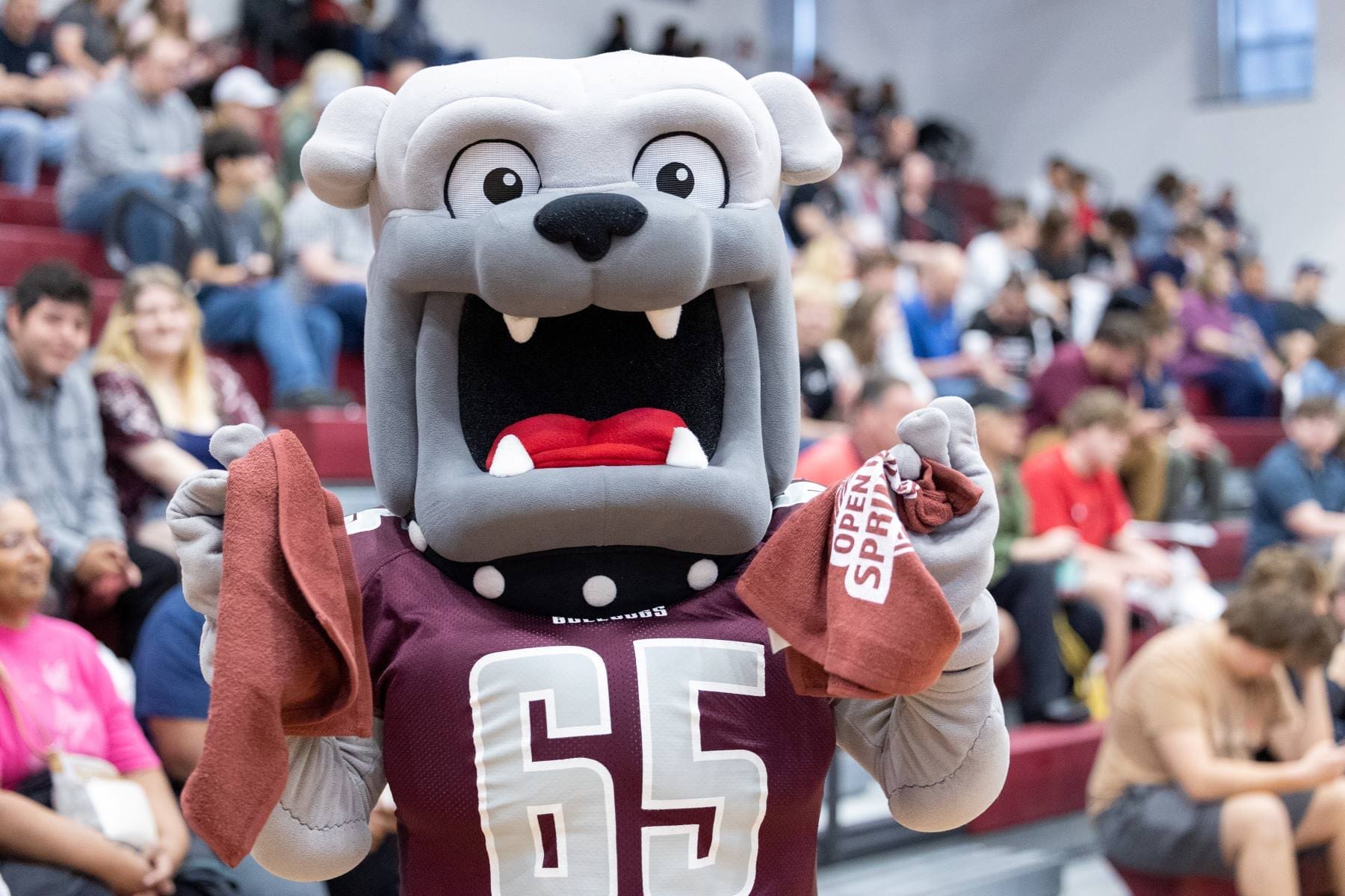 Champ the Bulldog mascot waving rally flags.