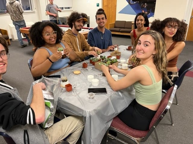 Students planting succulents with a residence life activity.