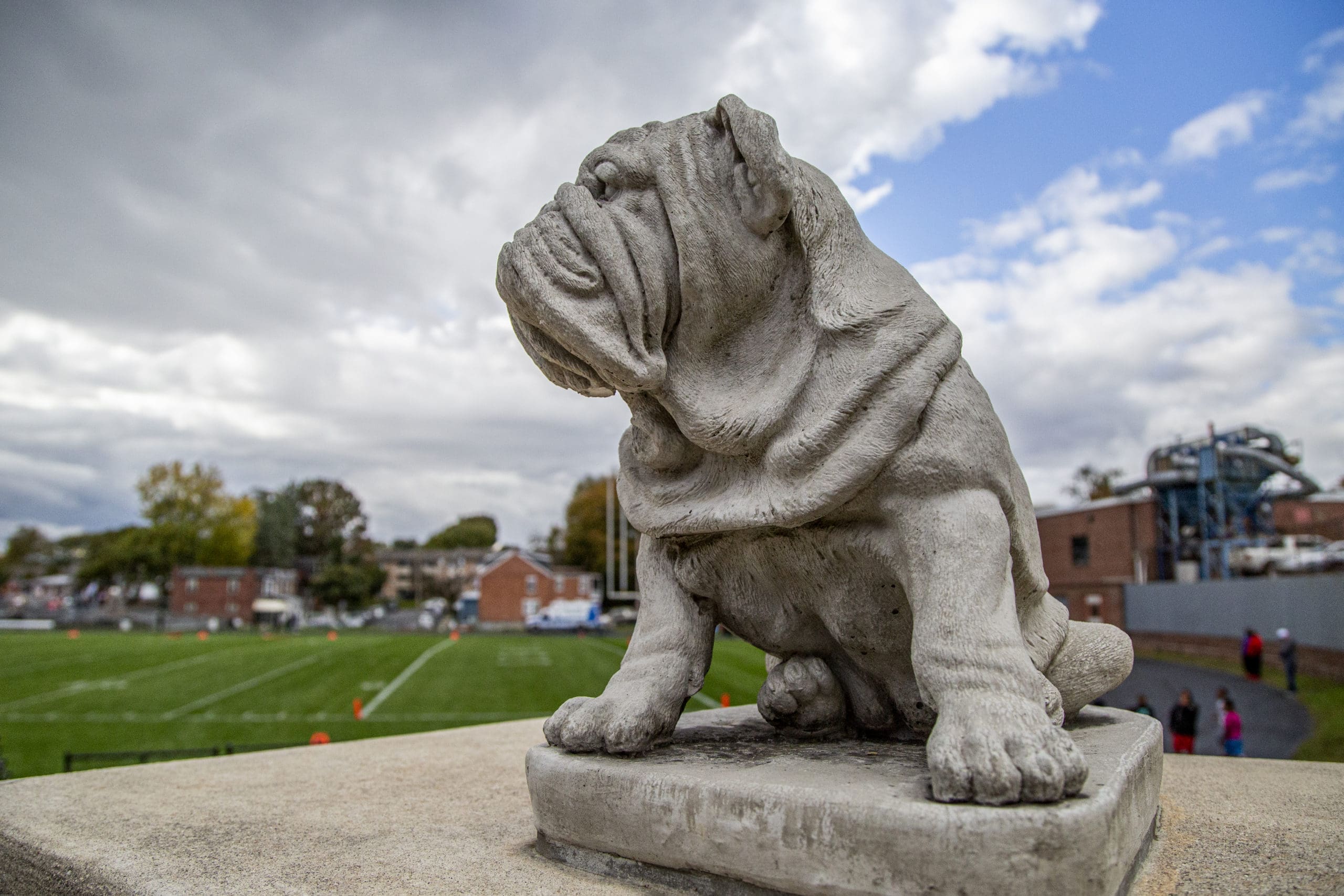 The Thaddeus Stevens Bull Dog Mascot